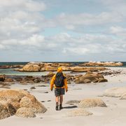 Hiker on beach in Bay of Fires, north-east Tasmania thumbnail
