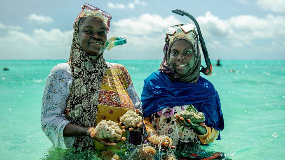 Sea sponge farming is offering a lifeline to single mothers and divorced women in Zanzibar (Credit: Lauraclara Cosmas)