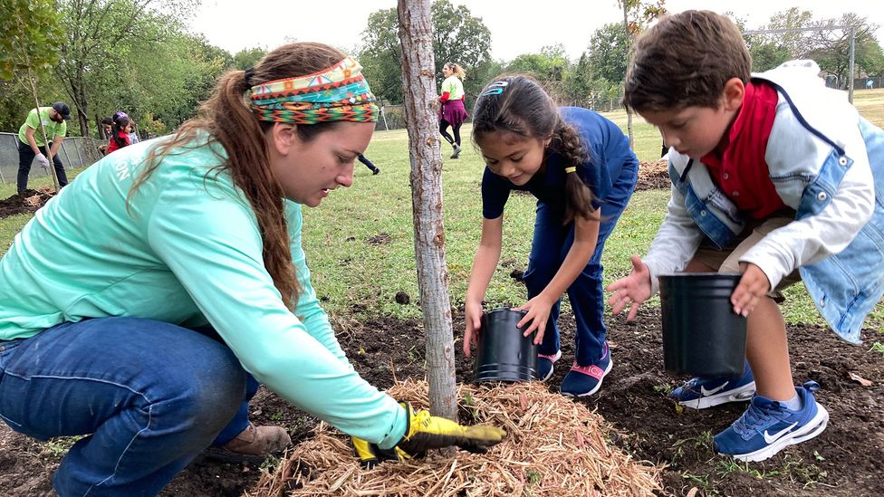 The Texas Tree Foundation have launched a cool schools programme to plant more trees in lower-income neighbourhoods in Dallas (Credit: Kristy Offenburger)